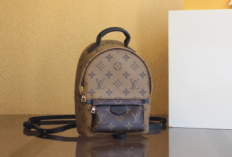 루이비통 팜 스프링스 백팩  M42411 H5