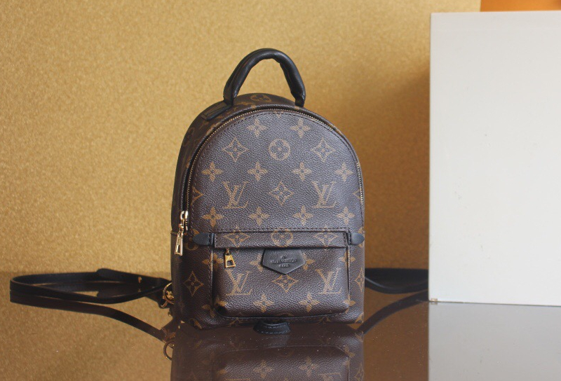 루이비통 팜 스프링스 백팩  M44873 H5