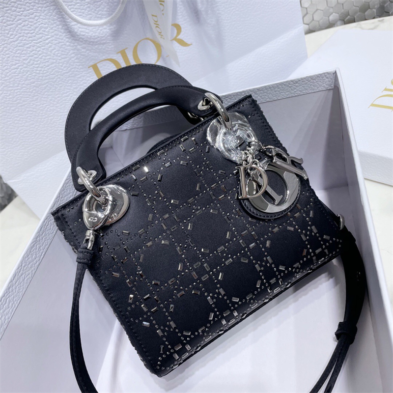 크리스챤 디올   레이디백 C1004  LI