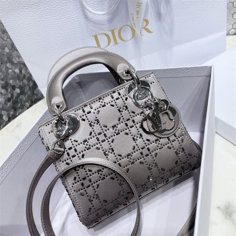 크리스챤 디올   레이디백   C1004 LI